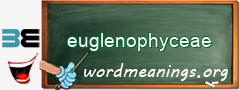 WordMeaning blackboard for euglenophyceae